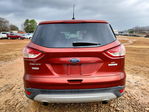 Ford Escape 2015