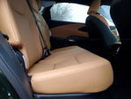 Lexus RX 2024