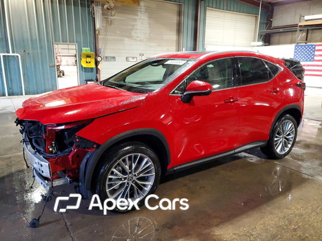 Lexus NX 2025 - Zdjęcie 1 z 13