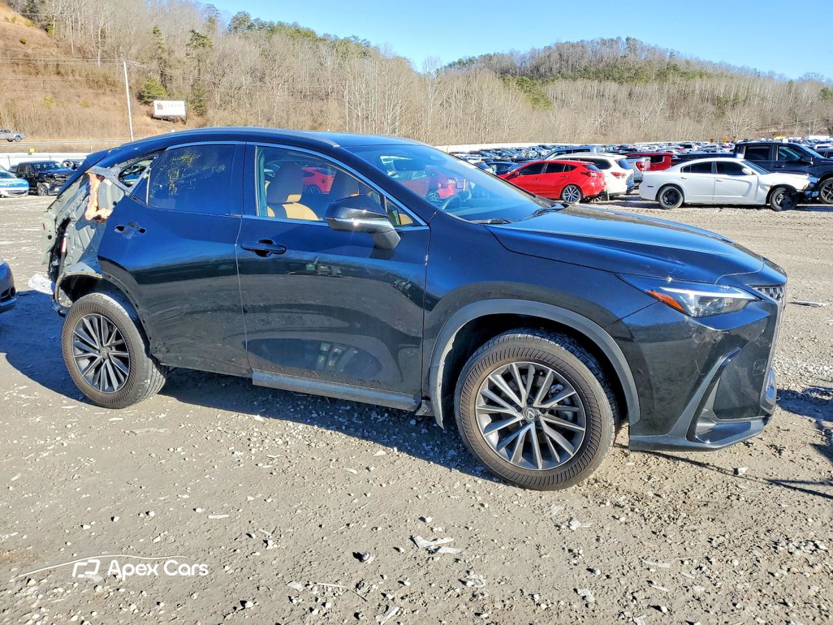 Lexus NX 2024