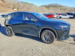 Lexus NX 2024