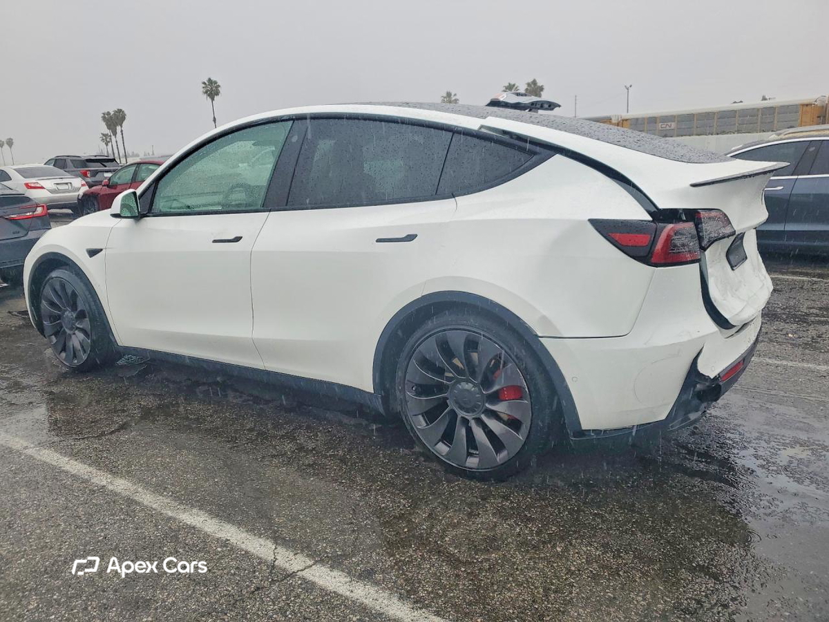Tesla Model Y 2021