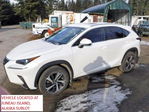Lexus NX 2018