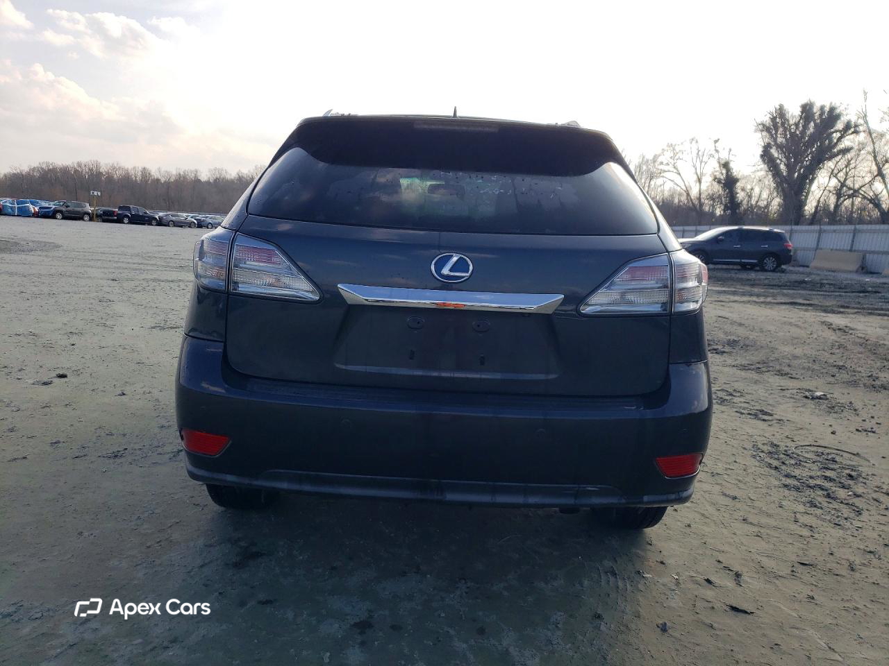 Lexus RX 2010