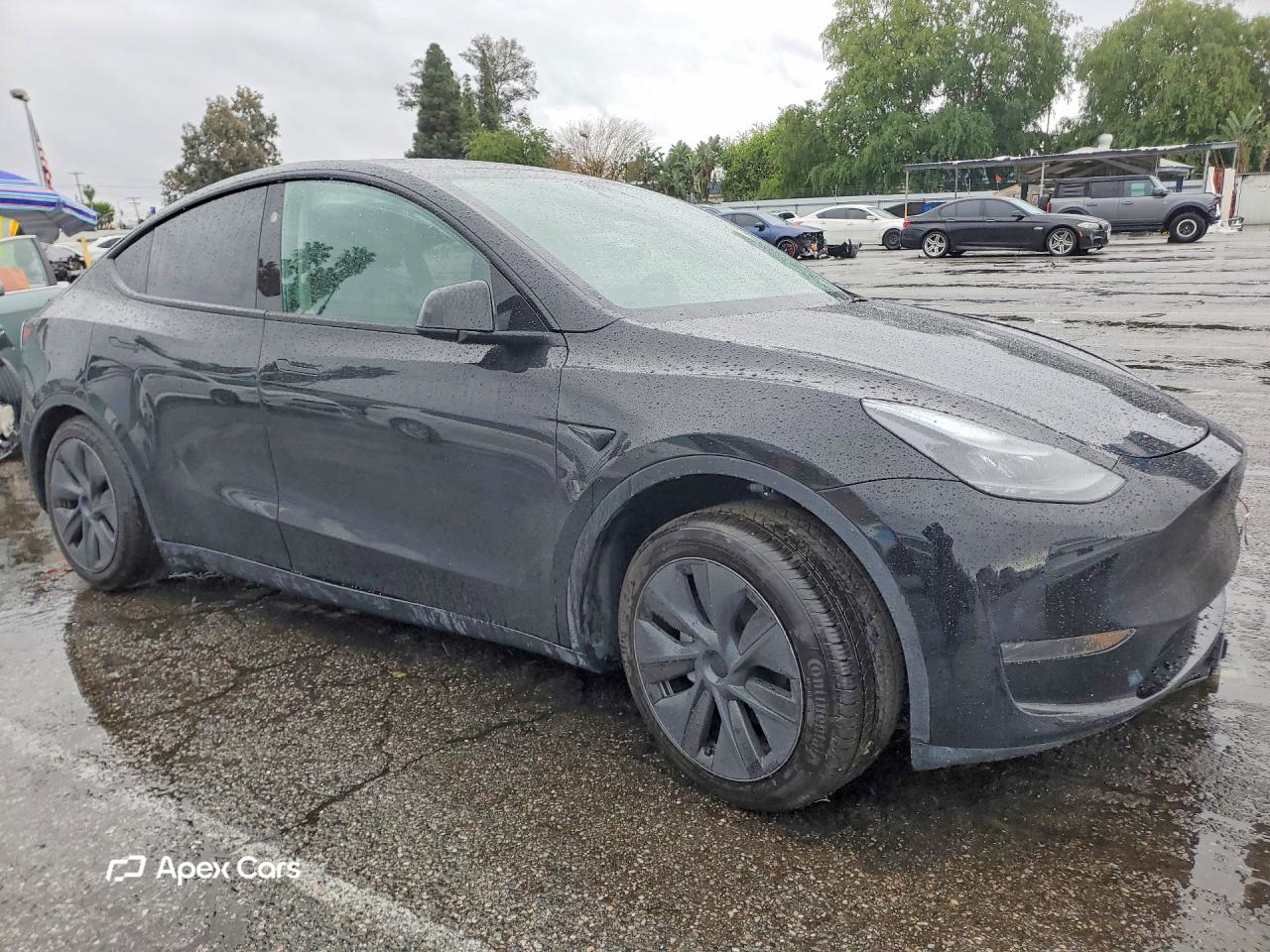 Tesla Model Y 2025