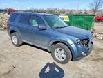Ford Escape 2010