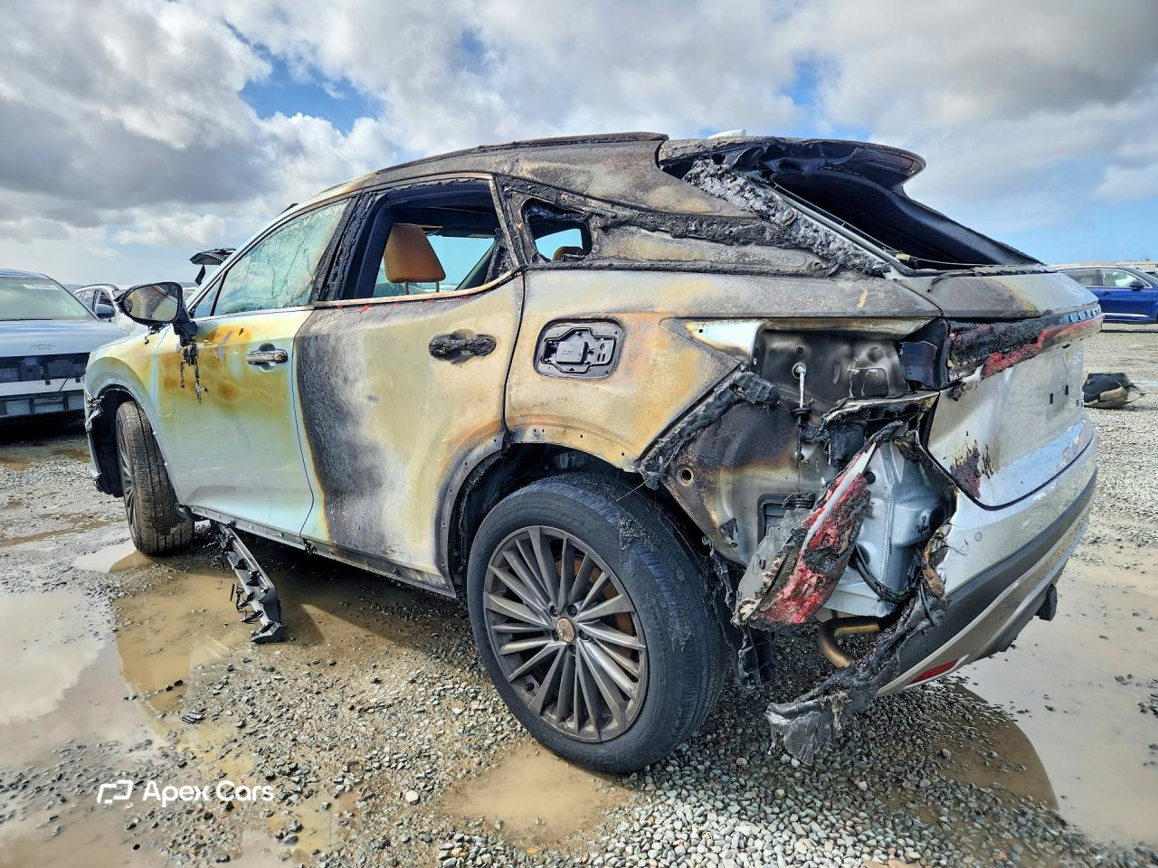 Lexus RX 2025