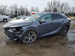Lexus RX 2023