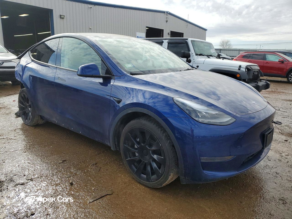 Tesla Model Y 2024