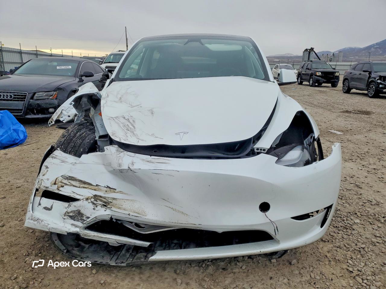 Tesla Model Y 2023