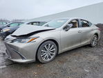 Lexus ES 2019