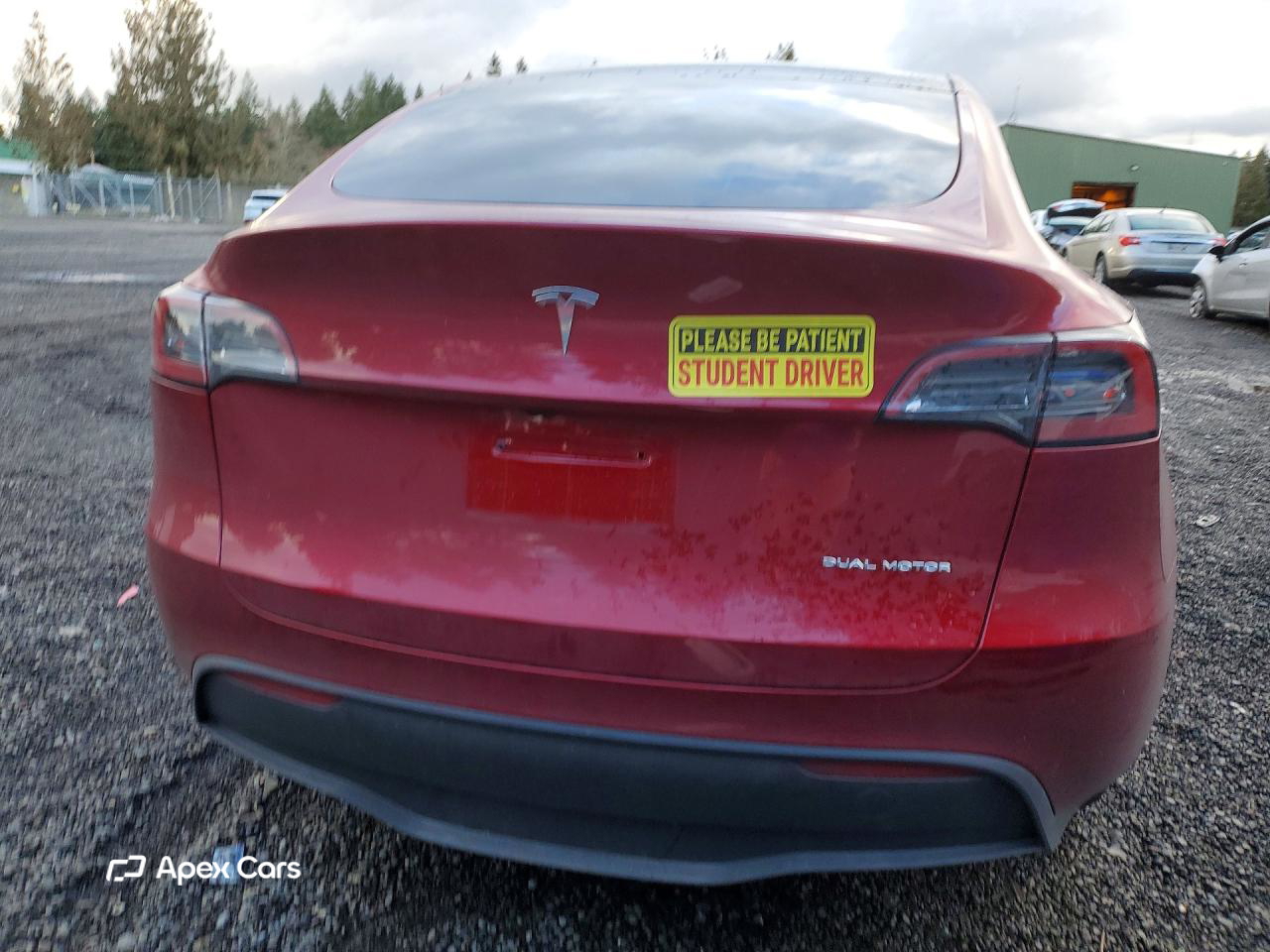 Tesla Model Y 2024