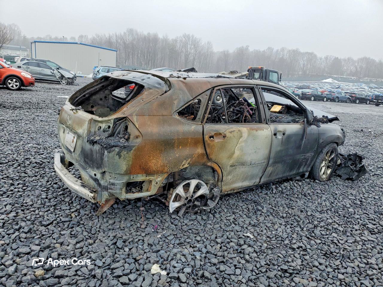 Lexus RX 2009