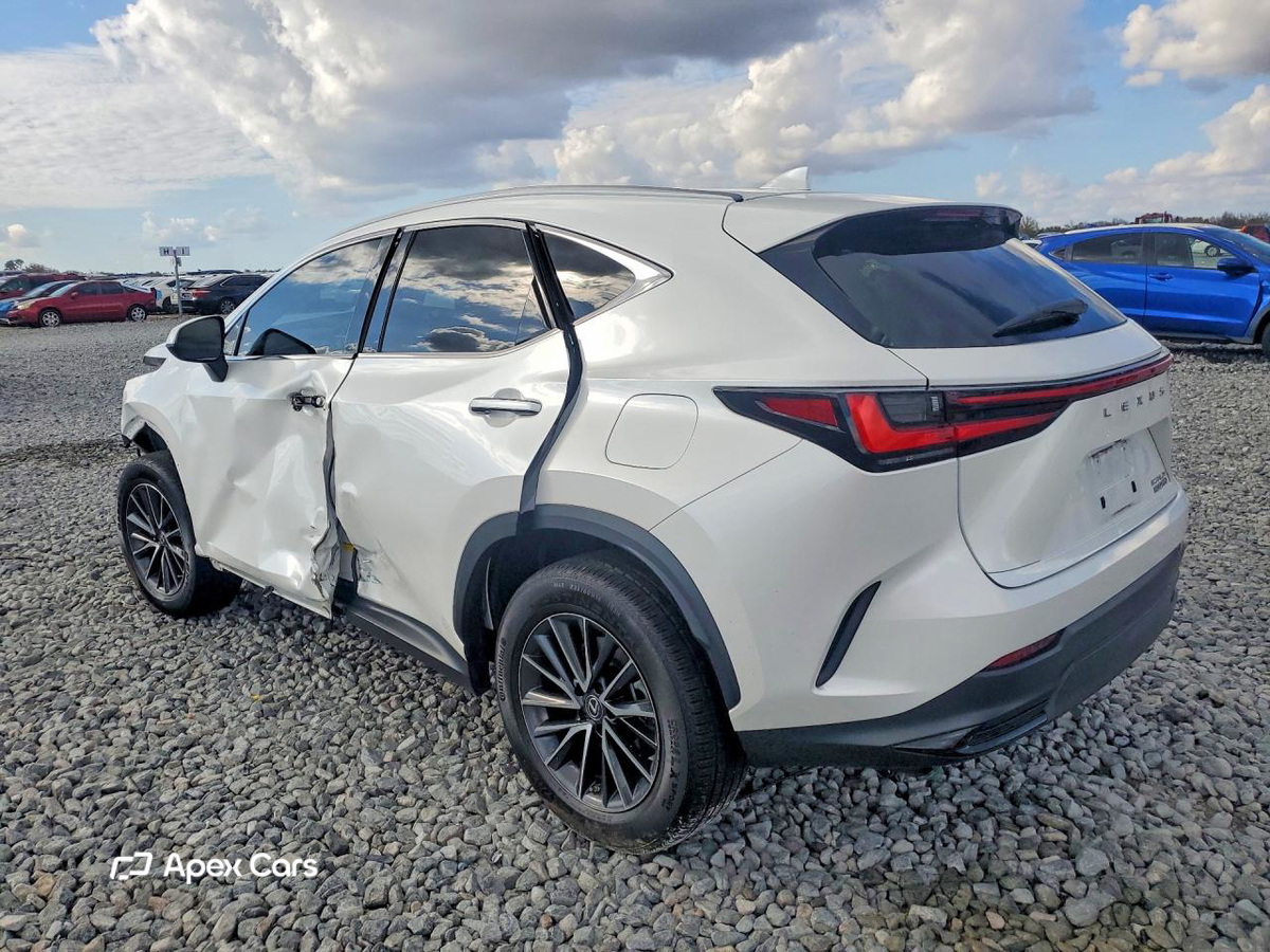 Lexus NX 2022