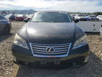 Lexus ES 2012
