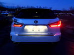Lexus RX 2019