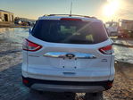 Ford Escape 2013