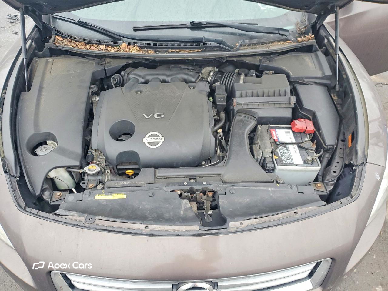 Nissan Maxima 2014