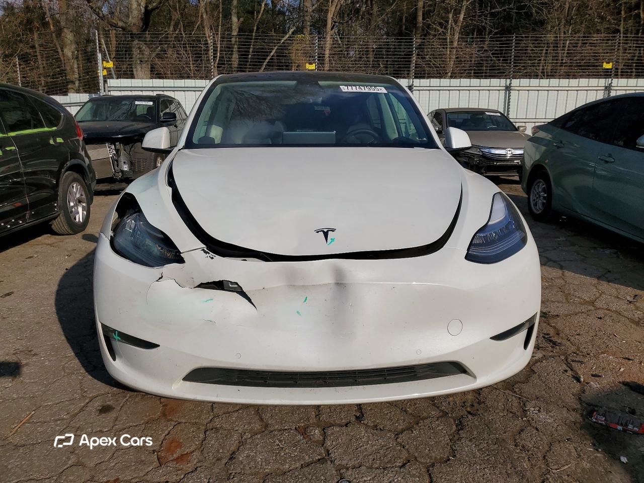 Tesla Model Y 2021