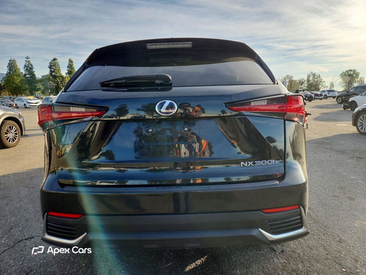 Lexus NX 2019