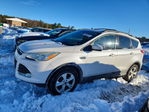 Ford Escape 2016