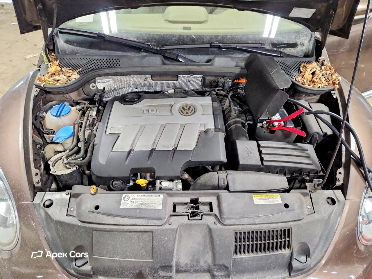Volkswagen Beetle 2014