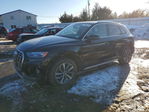 Audi Q5 2021