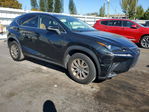 Lexus NX 2021