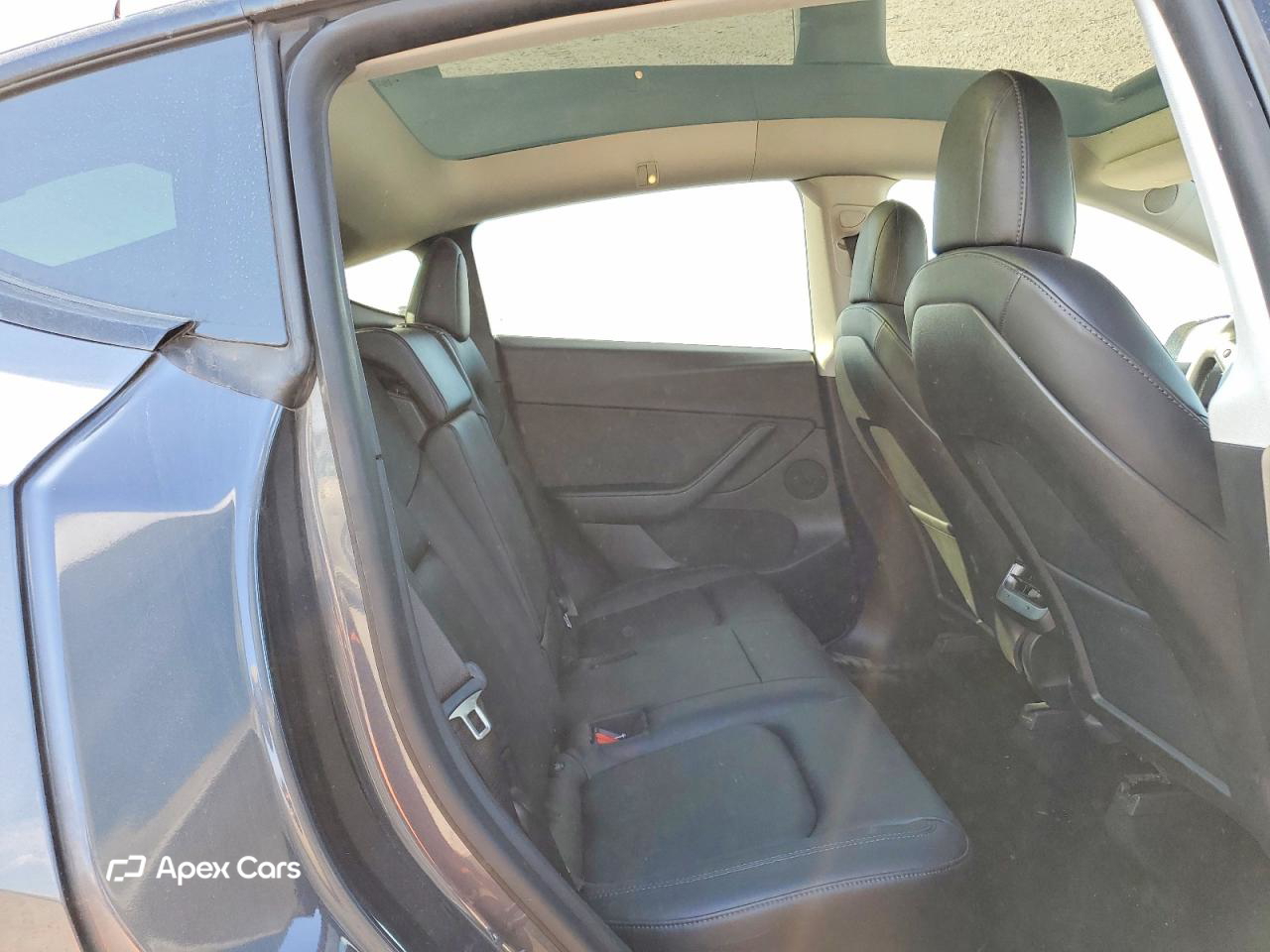 Tesla Model Y 2020