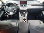 Lexus NX 2021