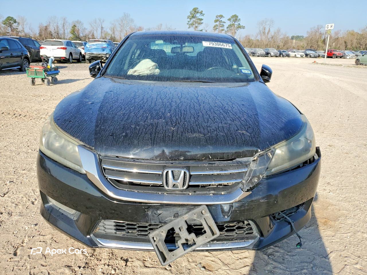 Honda Accord 2013