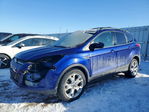 Ford Escape 2013