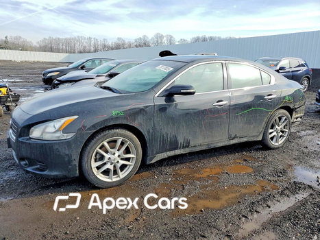 Nissan Maxima 2011 - Image 1 of 12