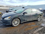 Nissan Maxima 2011