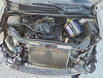 Dodge Caravan 2009