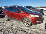 Ford Escape 2014