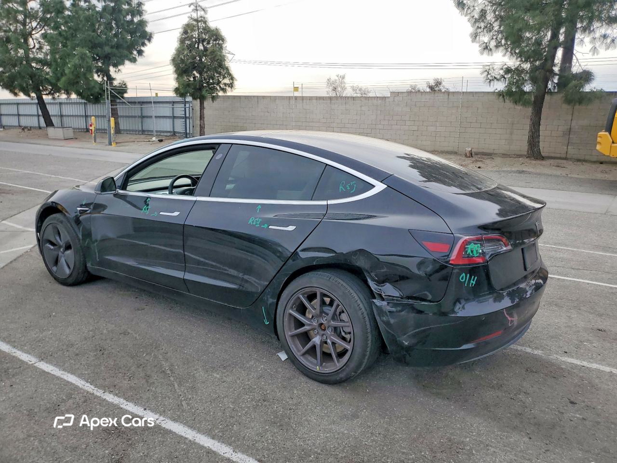 Tesla Model 3 2019