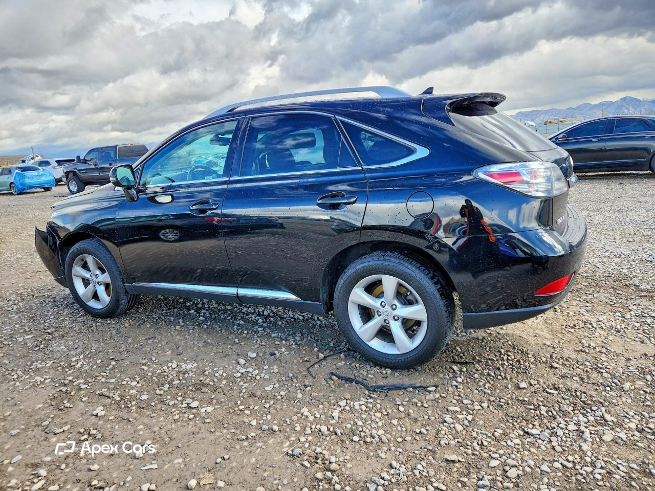 Lexus RX 2010