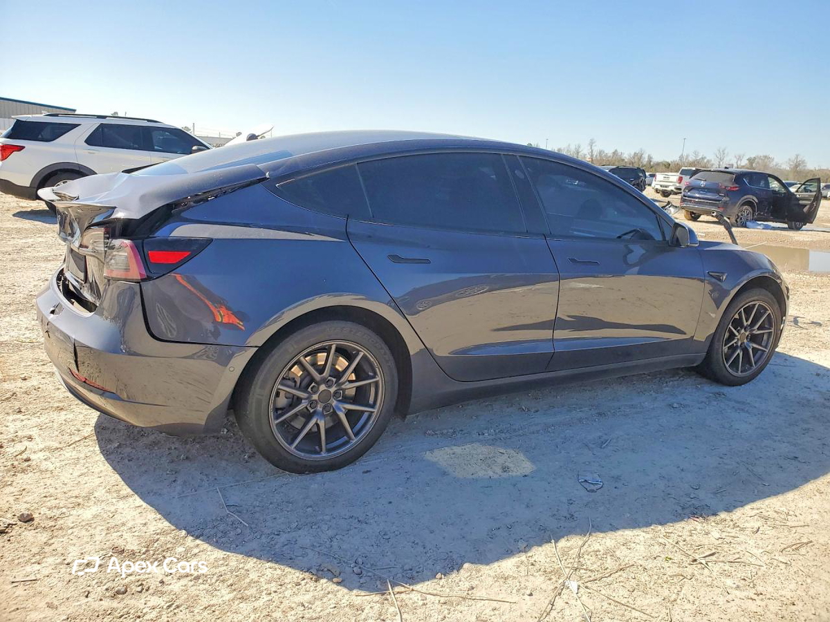 Tesla Model 3 2019