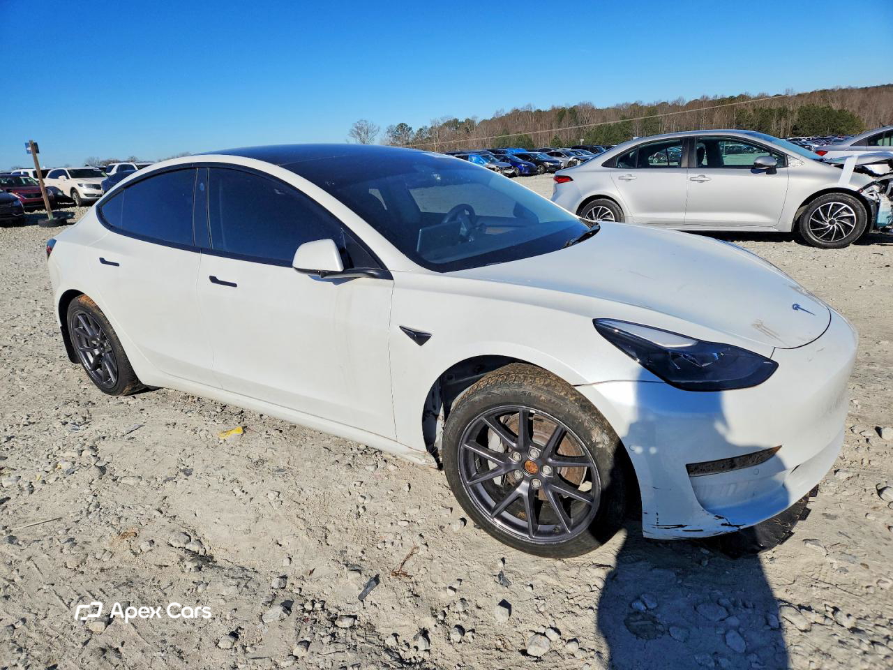 Tesla Model 3 2022