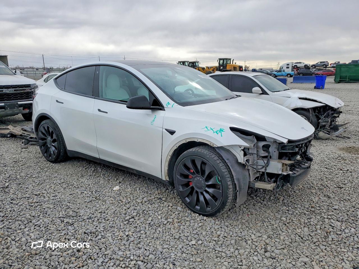 Tesla Model Y 2020