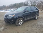 Kia Sorento 2015