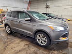 Ford Escape 2014