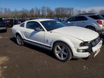 Ford Mustang 2008