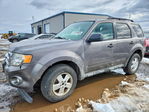 Ford Escape 2012
