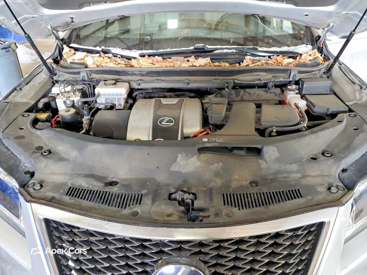 Lexus RX 2017