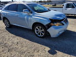 Lexus RX 2010