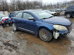Suzuki Kizashi 2011