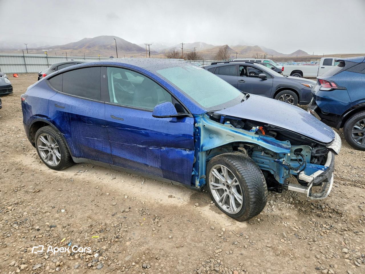 Tesla Model Y 2024