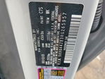 Kia K5 2024